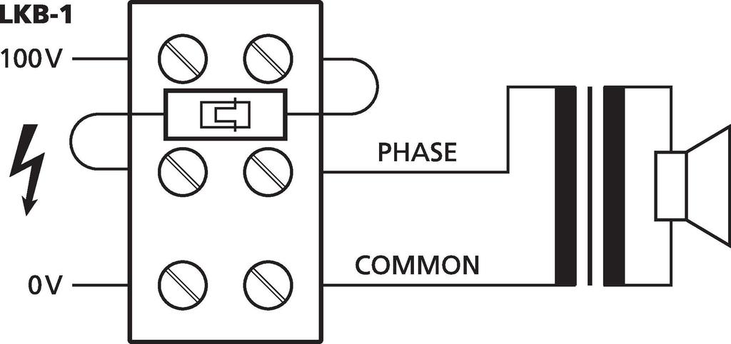 LKB-1 - Luster Terminal