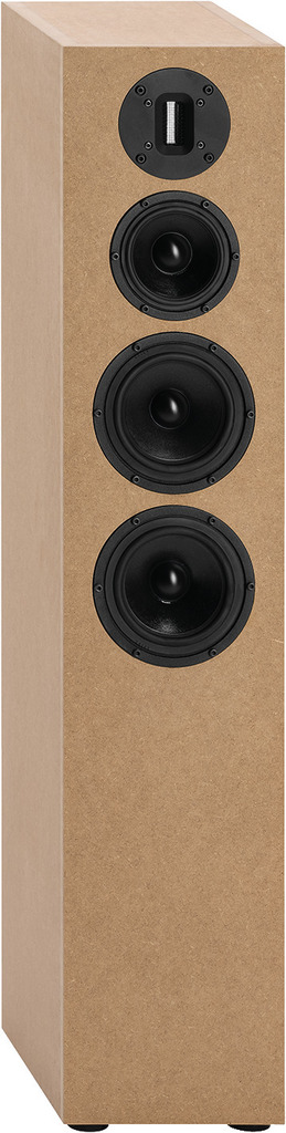 DIVA-SIMONE - Altoparlante Fai-da-te