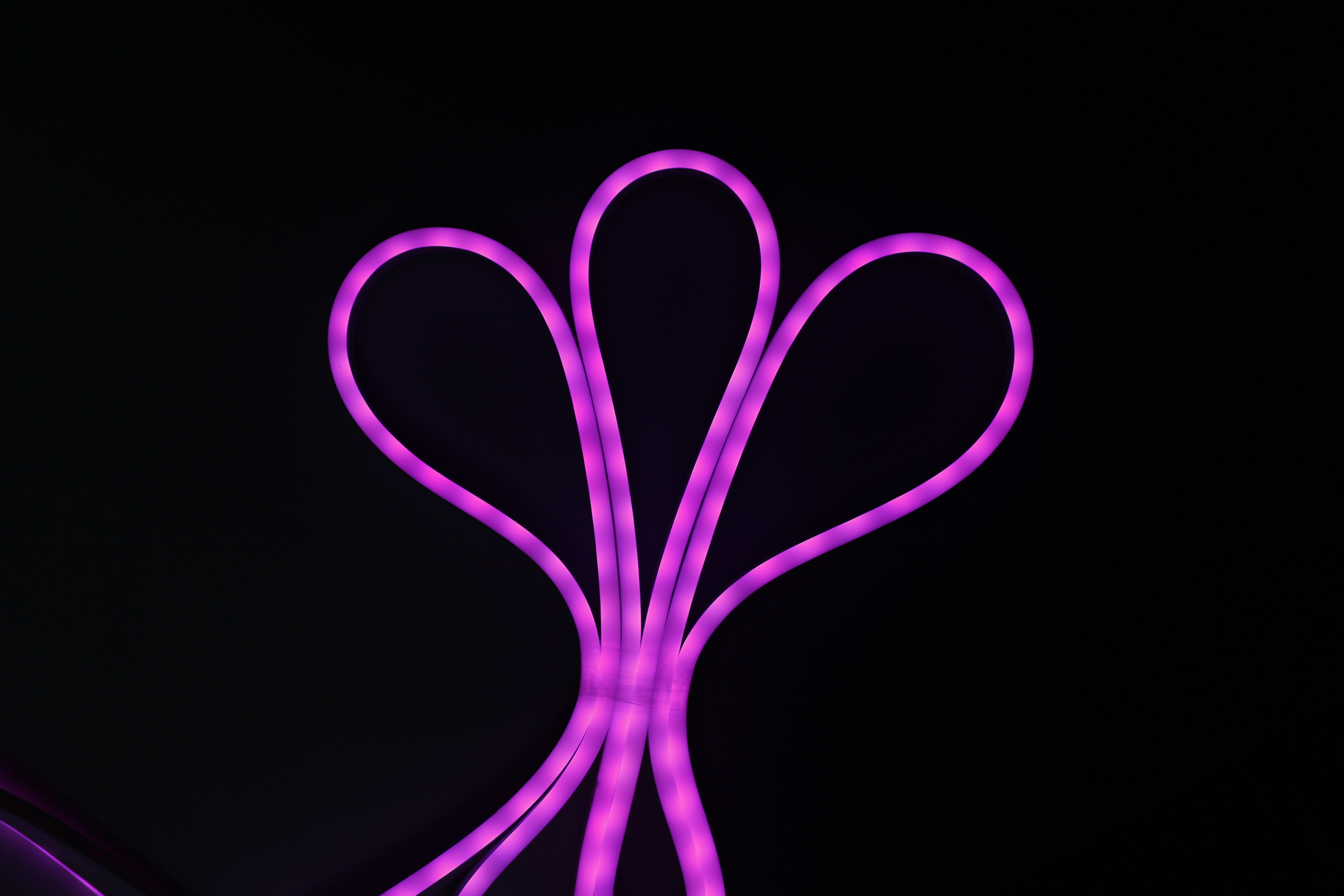 Neon strip LED 5mt 5050 RGBW 4,8W/m con telecomando e alimentatore