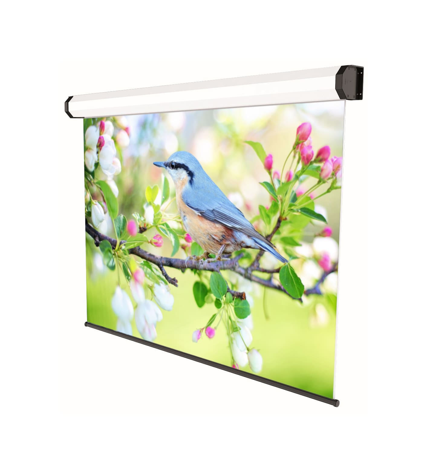 558000296 screen tailored 2