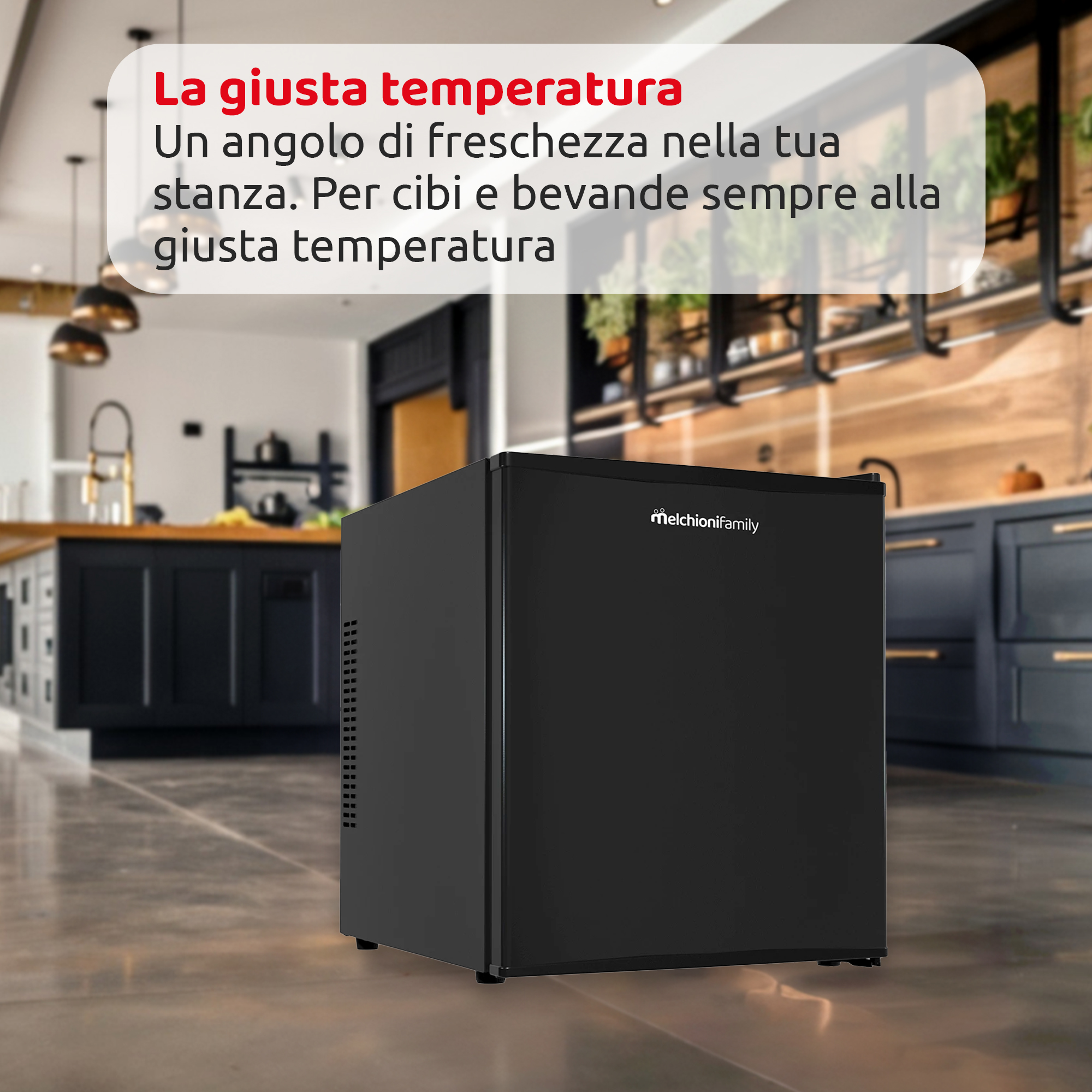 Minifrigo POLAR 47 con celle di peltier nero