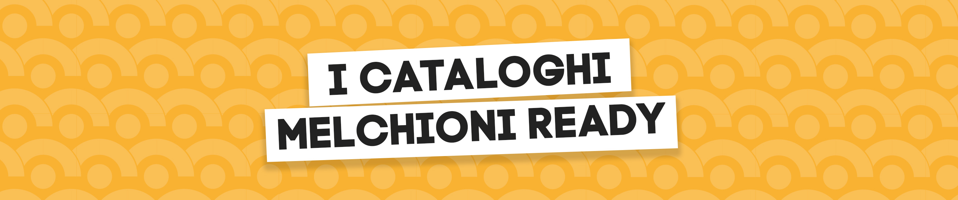 bannercataloghi-ready
