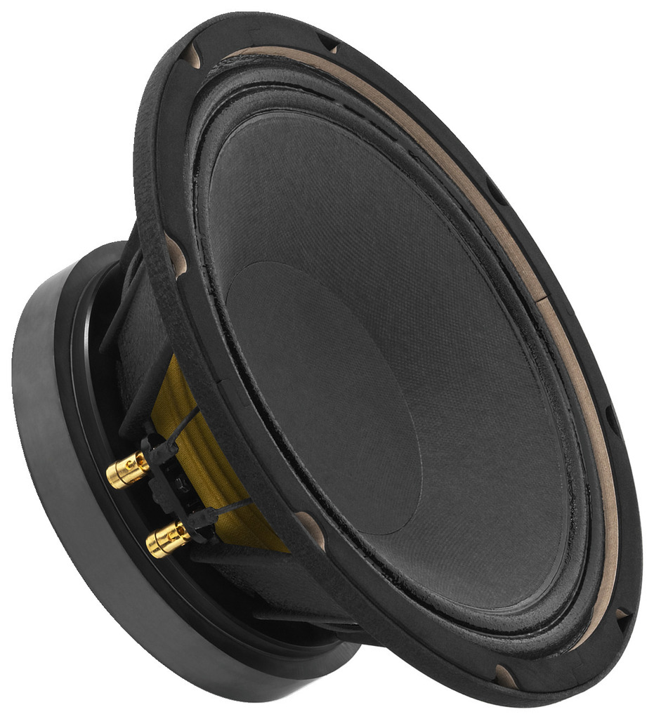 SP-10/250PRO - PA Bass Speaker