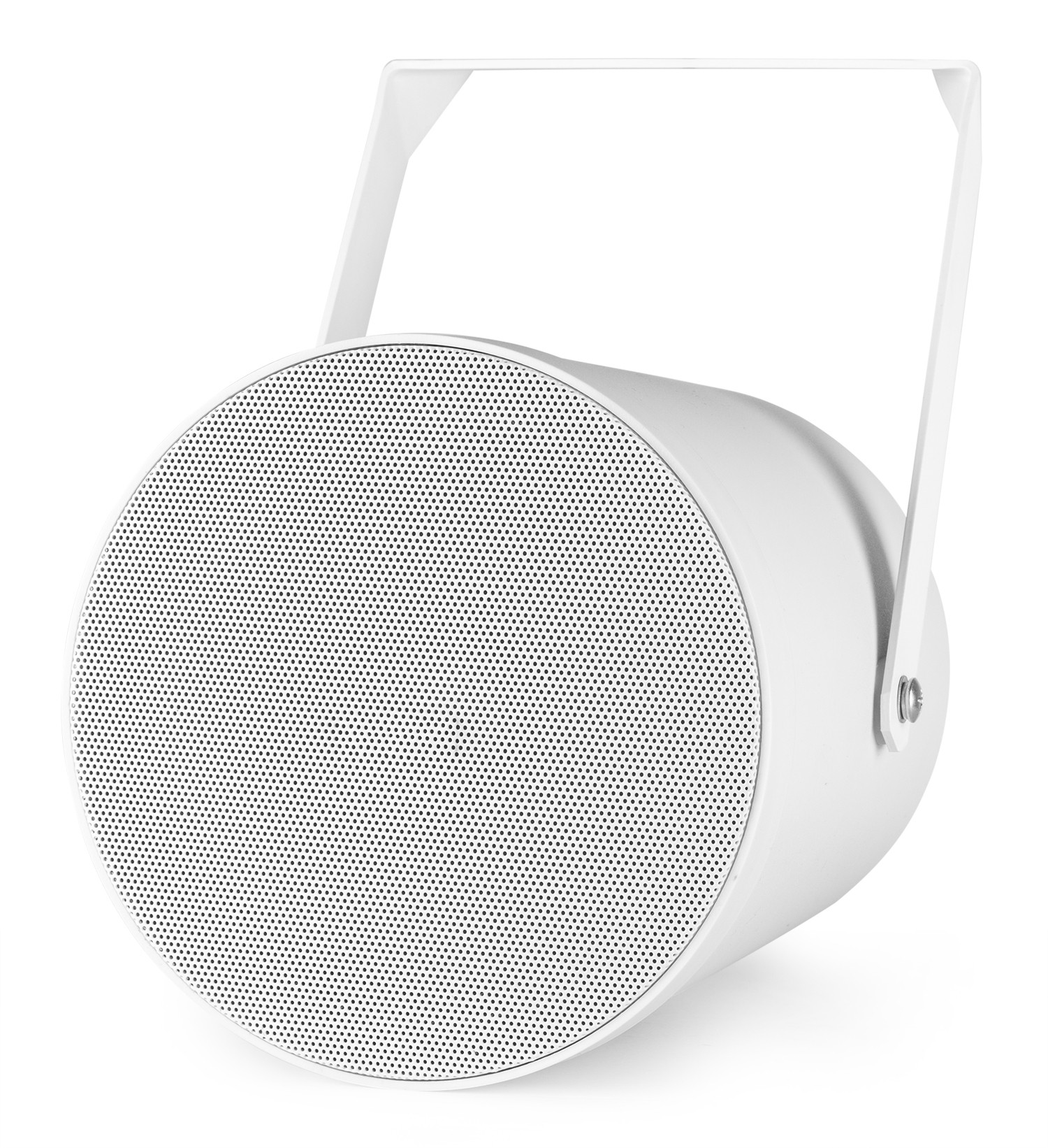 Proiettore audio da esterno IPX5, 6,5” 20W 100V bianco PSP6