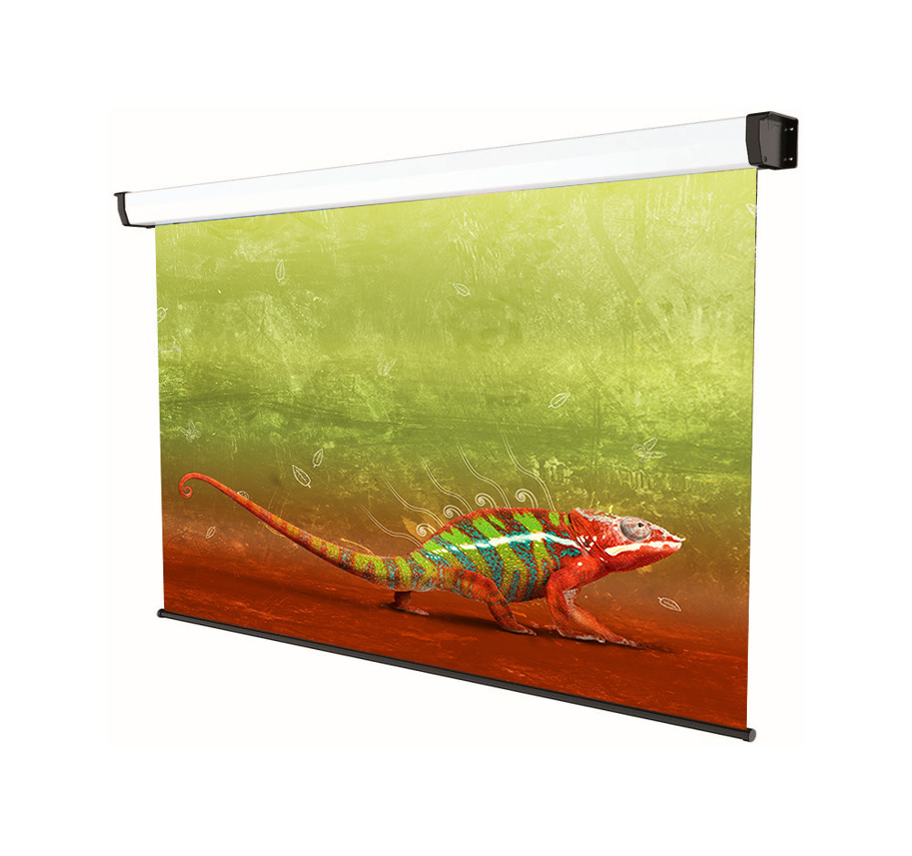 Manual Screen Platinum Series 300x225cm with white fabric and black backing, 4:3 format, Model 3301PLRN