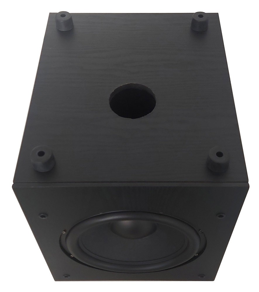 Subwoofer amplificato da 100W IRDP-SUB100 PRO con woofer da 10"