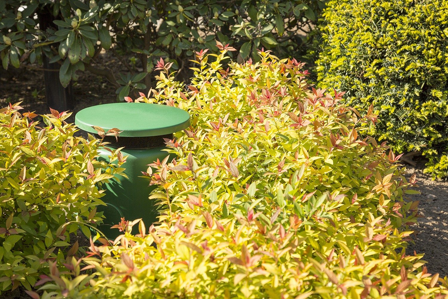 IPX5 Garden Sound Diffuser 30W 100V, green colour, model GS530