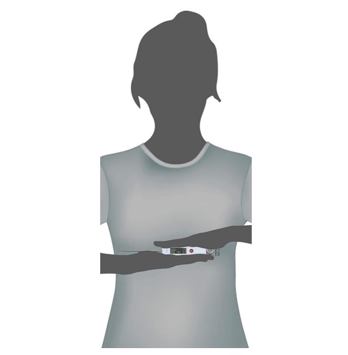 Termometro Digitale per la casa WS 1010