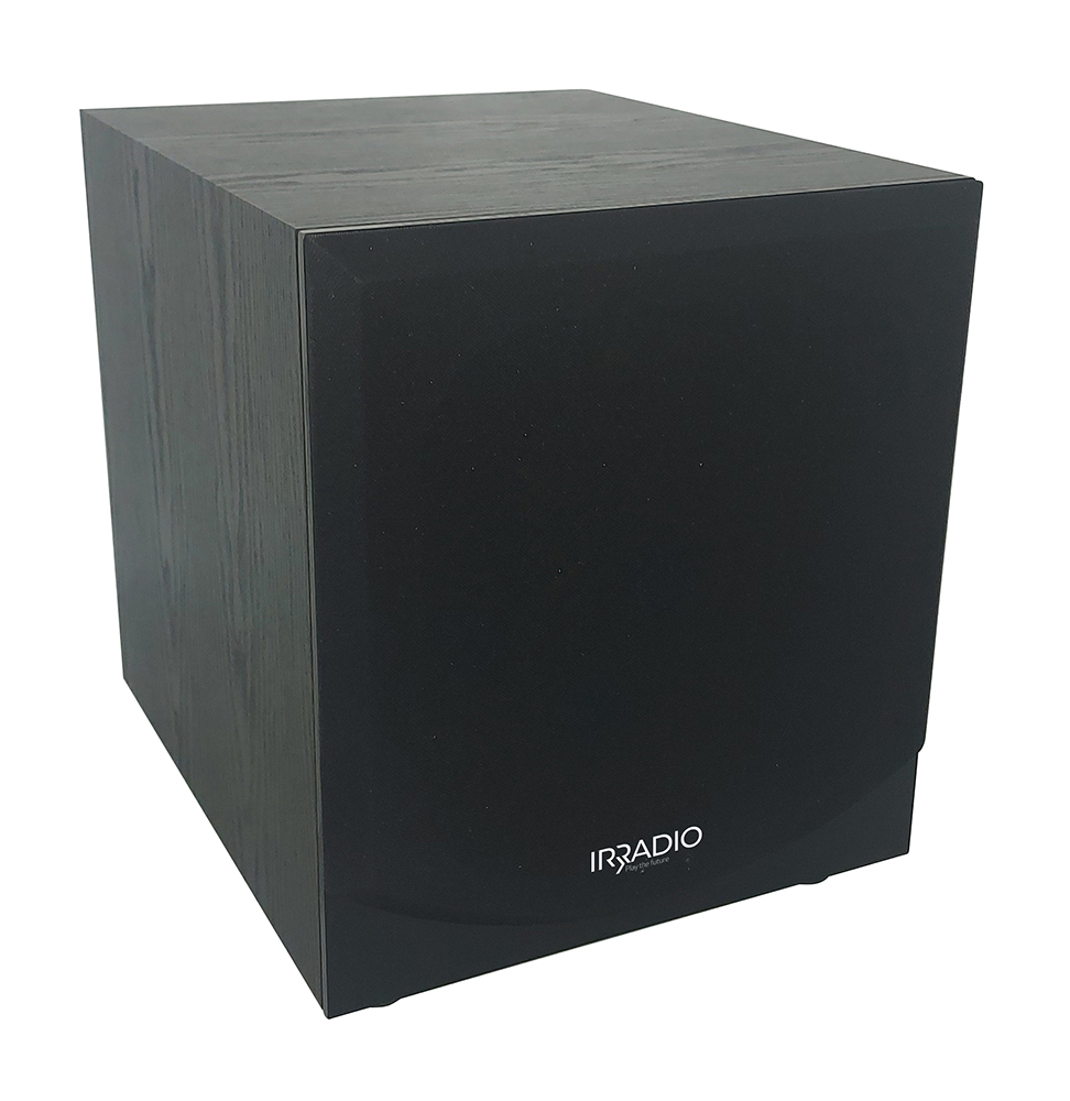 Subwoofer amplificato da 100W IRDP-SUB100 PRO con woofer da 10"